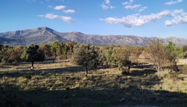 Sierra de Guadarrama | Wikicommons. Autor: Elena Navarro Sánchez